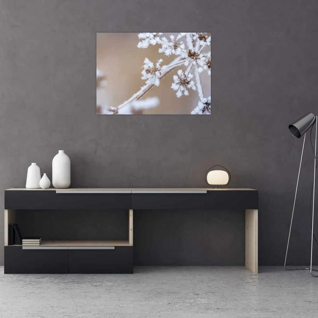 Tablou - Îngheț (70x50 cm)