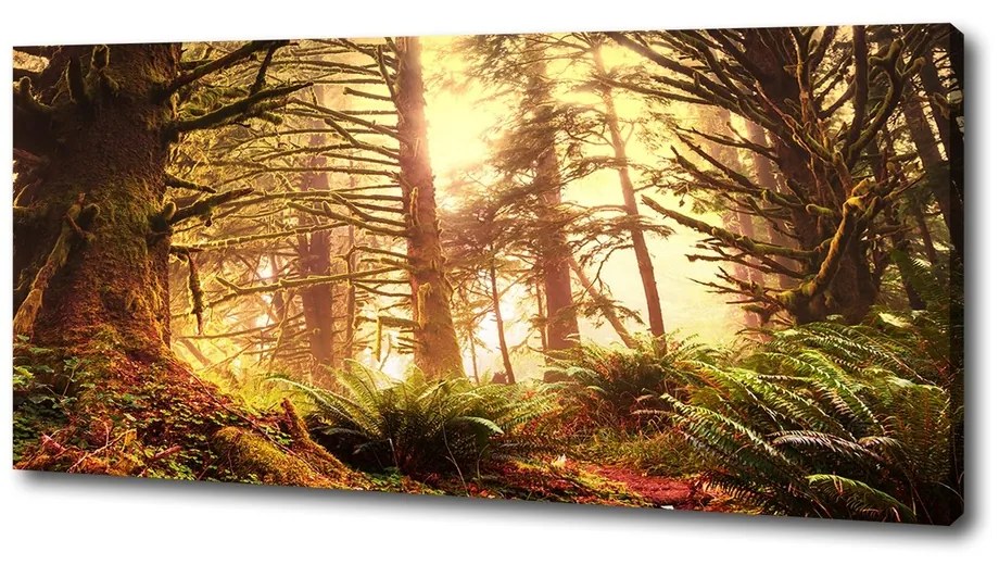 Tablou pe pânză canvas Pădurea tropicală