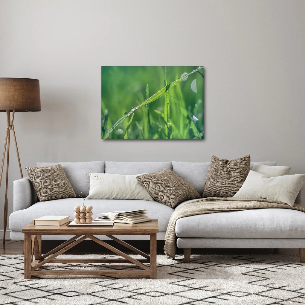 Tablou cu picături de rouă (70x50 cm)