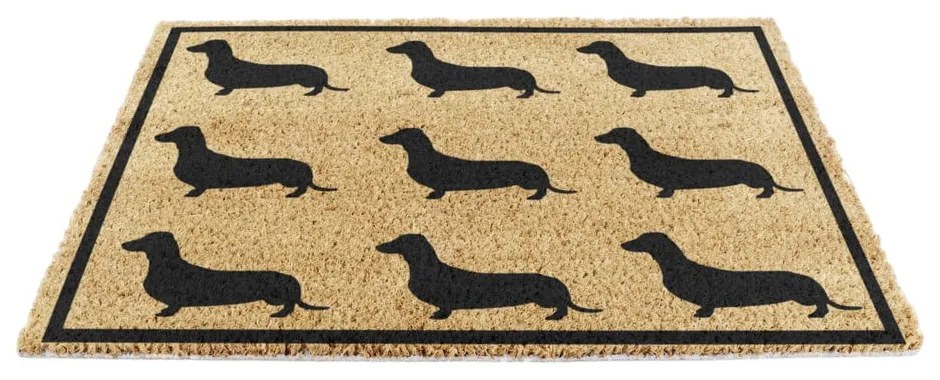 Covoraș de intrare din fibre de nucă de cocos 40x60 cm Dachshund – Artsy Doormats