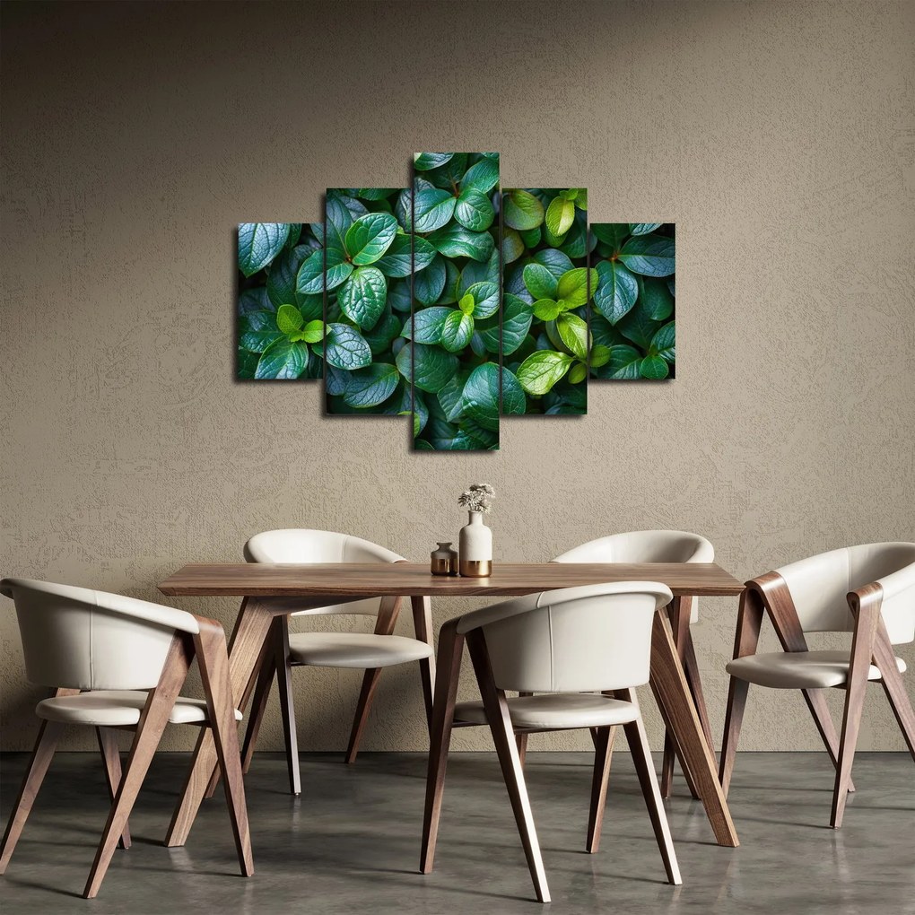 Tablou - Plante verzi (150x105 cm)