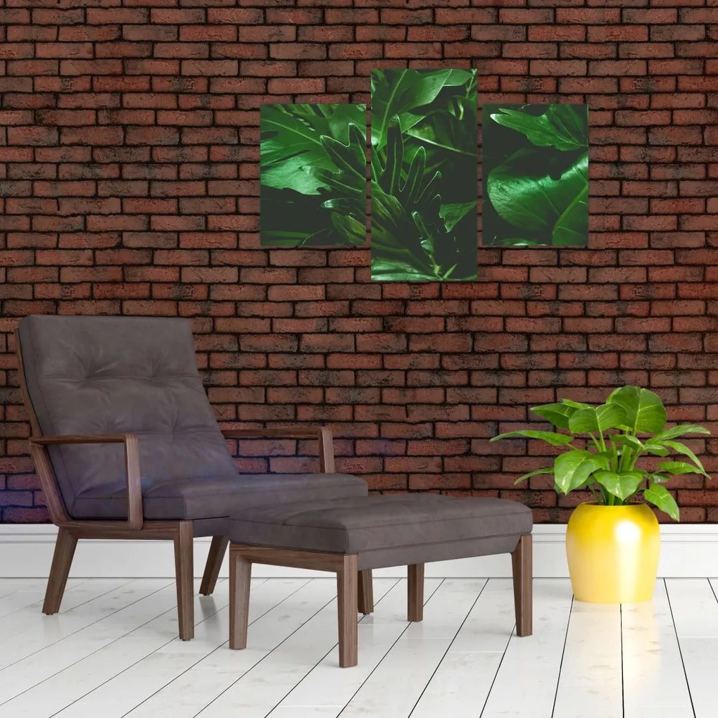 Tablou - Frunze de palmier (90x60 cm)