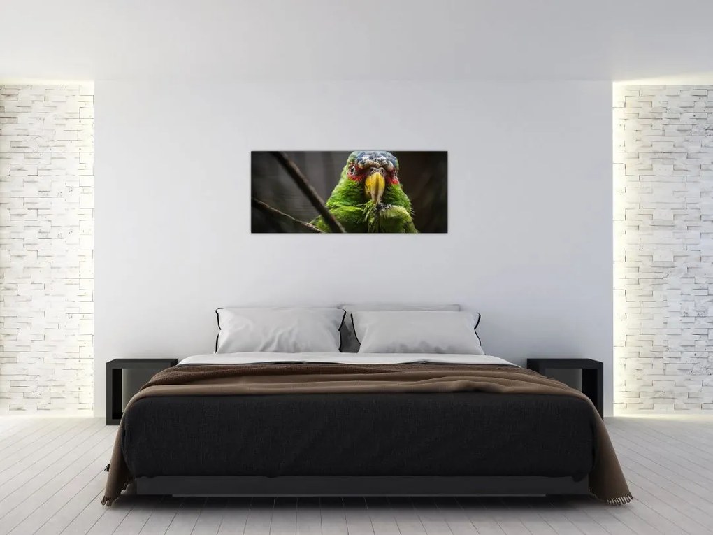 Tablou cu papagal (120x50 cm)