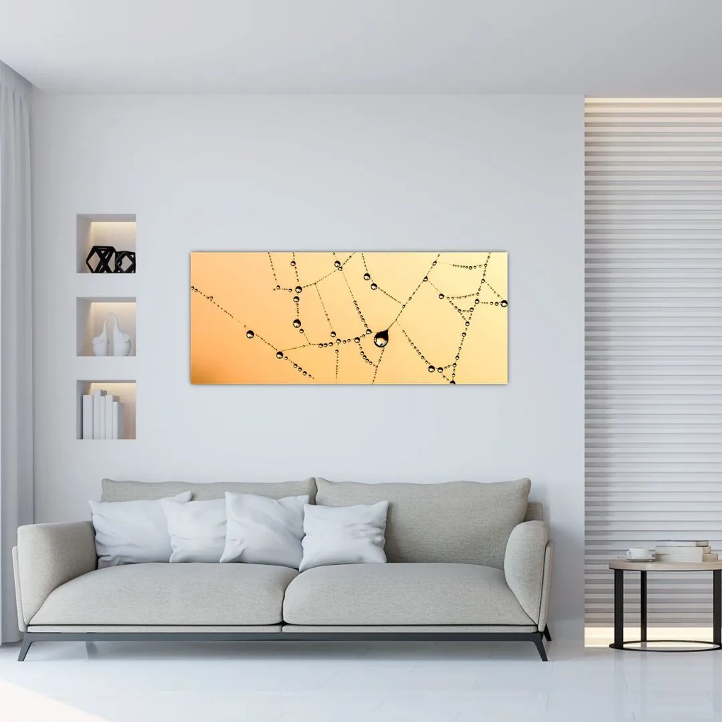 Tablou cu pânză de pâianjen cu rouă (120x50 cm)