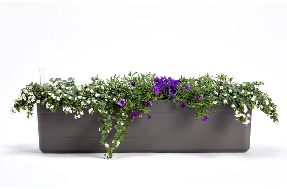 Ghiveci cu autoirigare Plastia Berberis 80, antracit + verde, 80 cm
