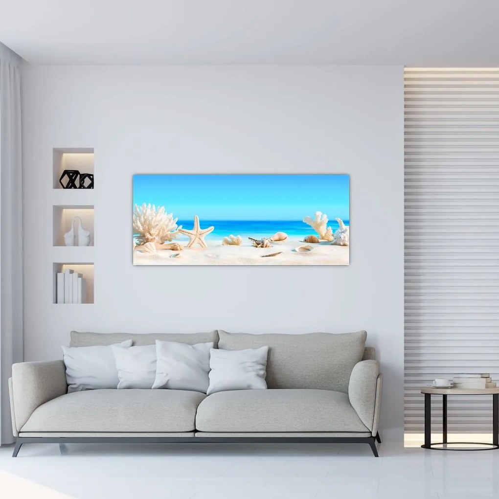 Tablou - Natura morta cu scoici (120x50 cm)