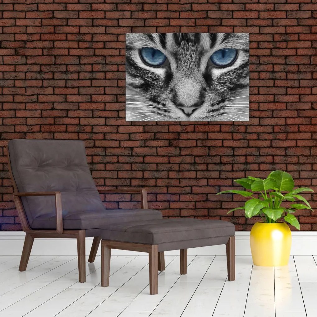 Tablou pe sticlă cu pisica (70x50 cm)