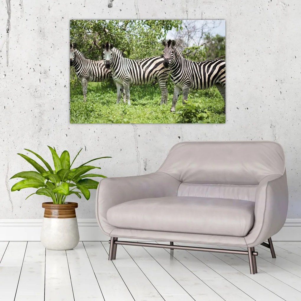 Tablou cu zebre (90x60 cm)