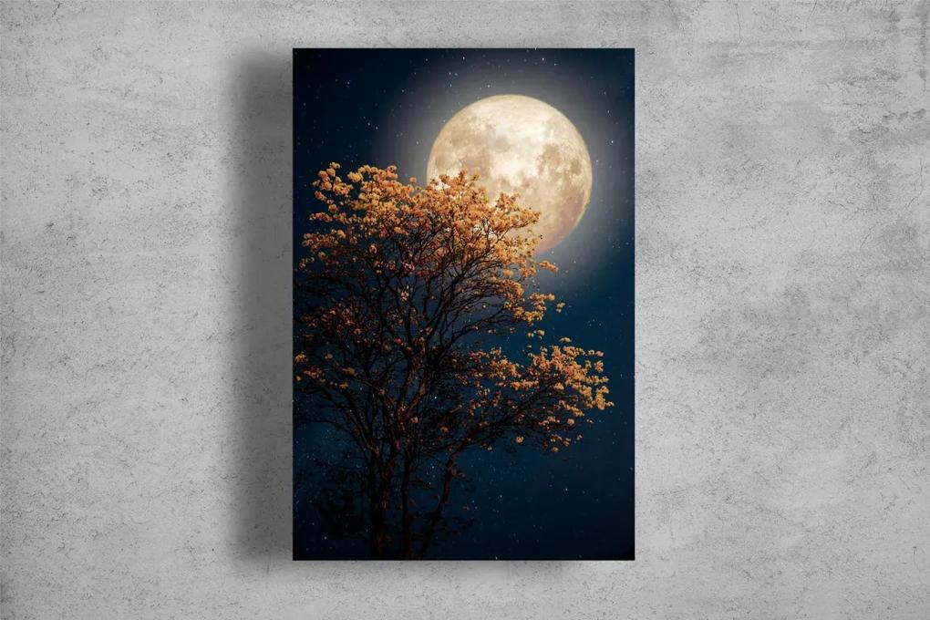 Tablou Canvas - Luna si copacul