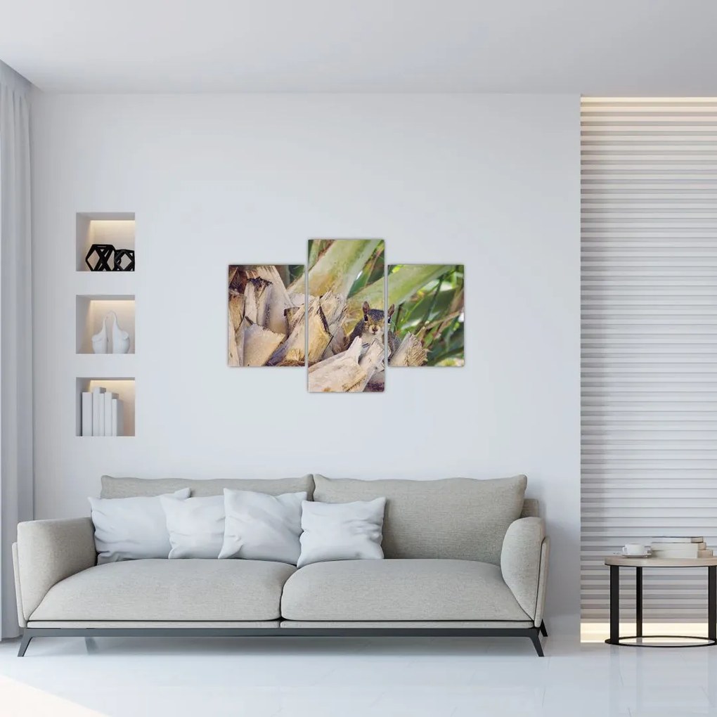 Tablou cu veverița în copaci (90x60 cm)