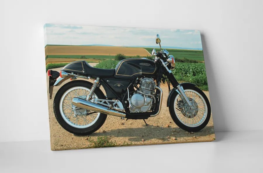 Tablou canvas : Honda gb500