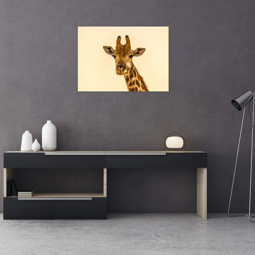 Tablou cu girafe (70x50 cm)