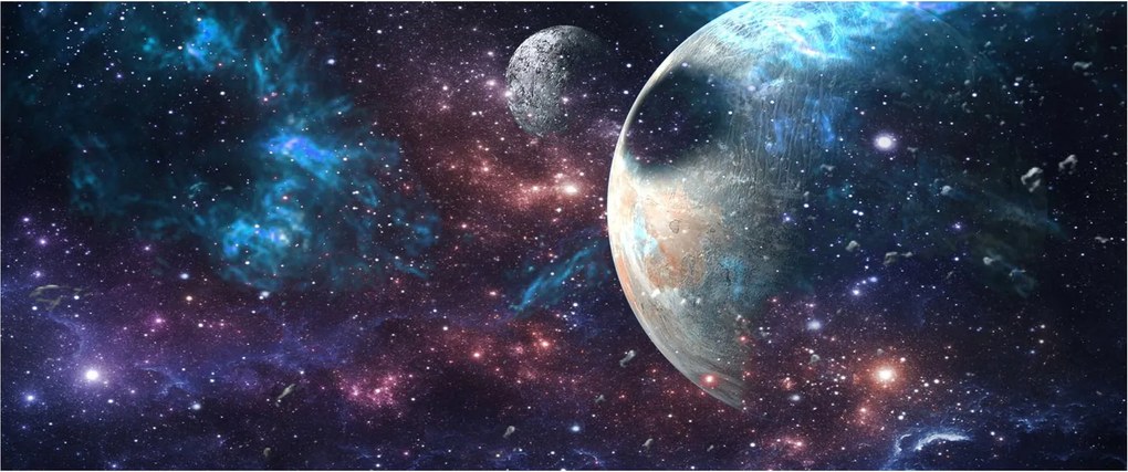 Tablou cu cosmos (120x50 cm)