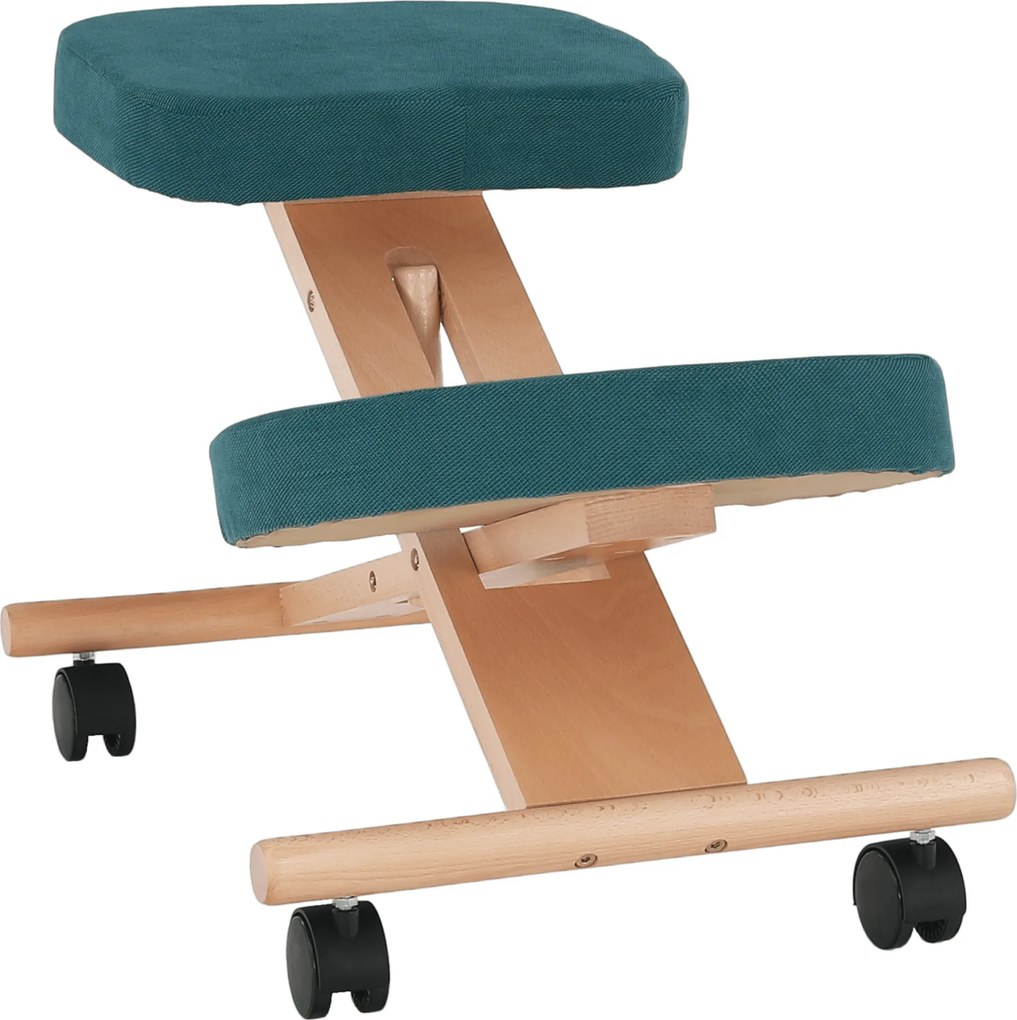 Scaun ergonomic, petrol/ fag, FLONET