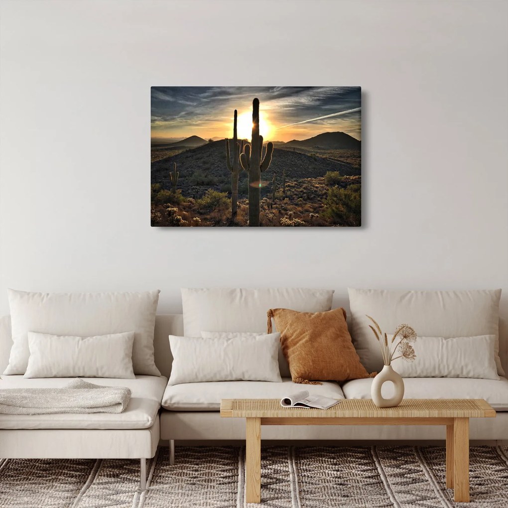 Tablou - cactușii la soare (90x60 cm)