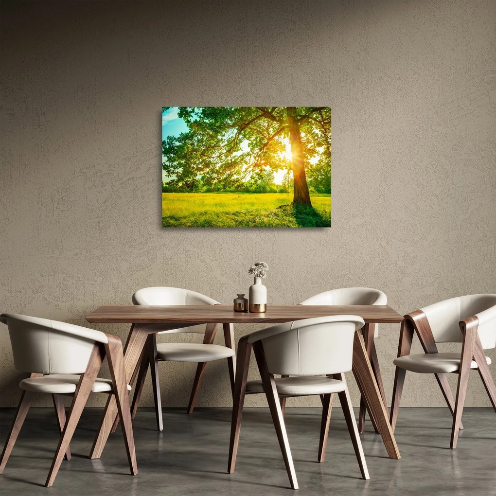 Tablou pe sticlă - Pădurea însorită (70x50 cm)