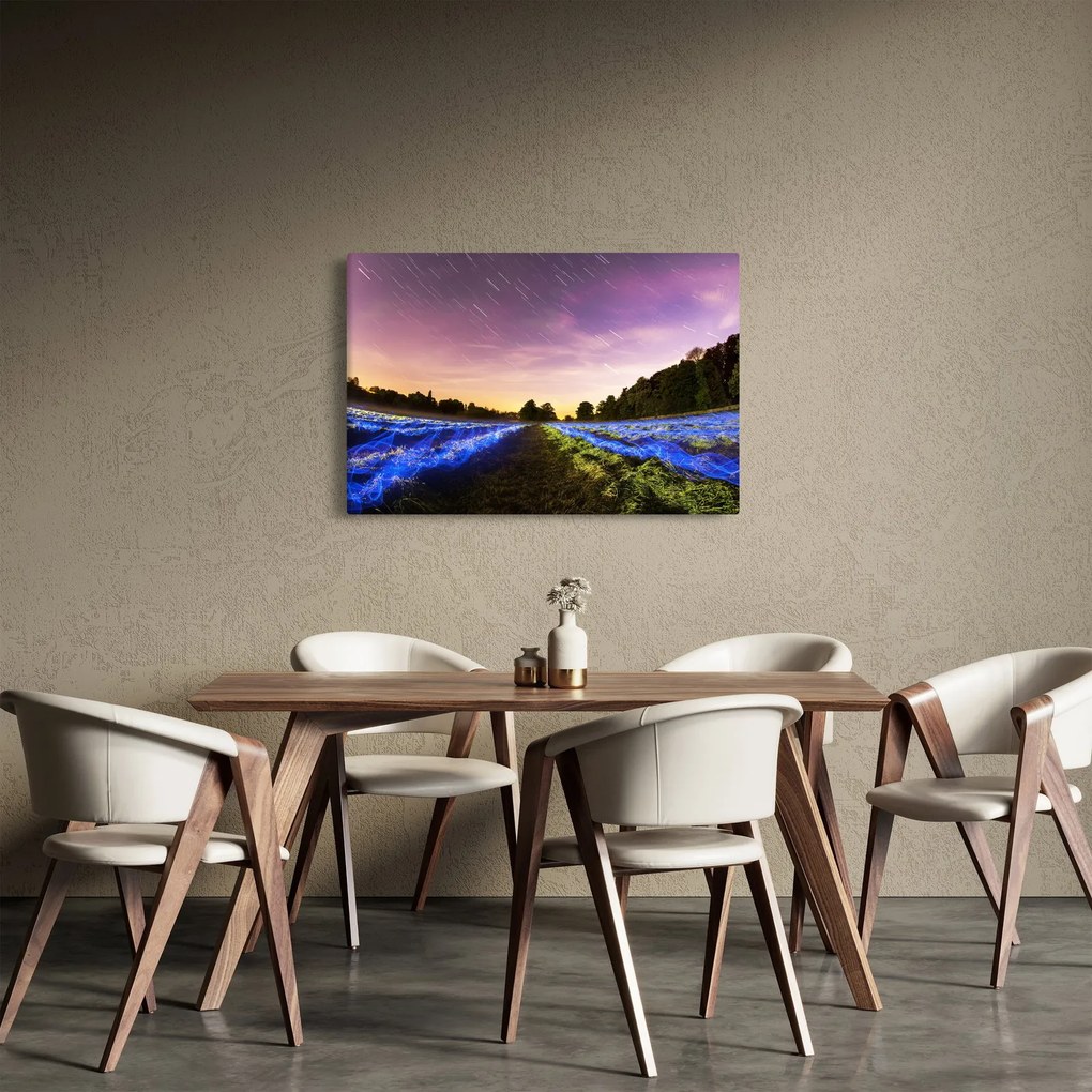 Tablou cu câmp colorat (90x60 cm)