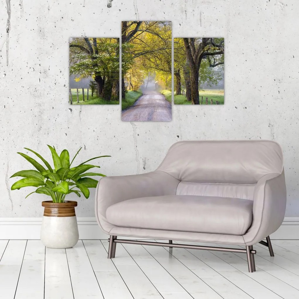 Tablou - Smoky Mountains, Gatlinburg, SUA (90x60 cm)