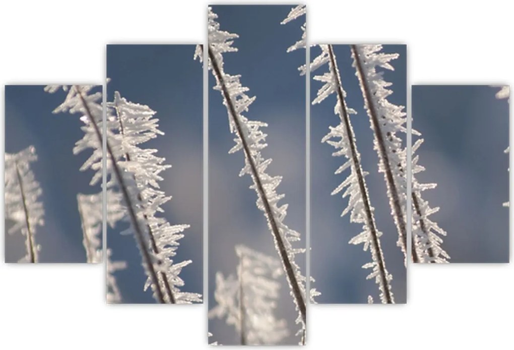 Tablou - Îngheț (150x105 cm)