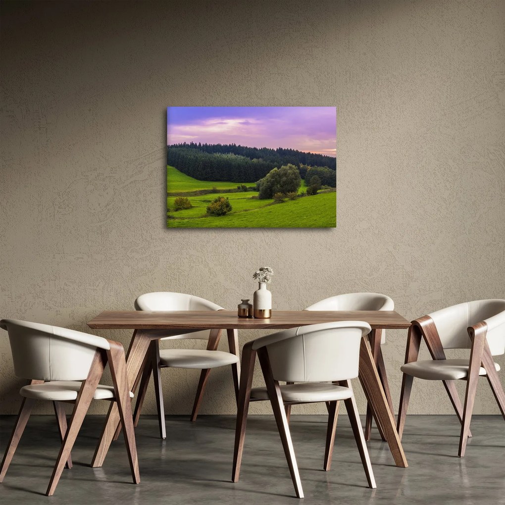 Tablou cu lunca (70x50 cm)