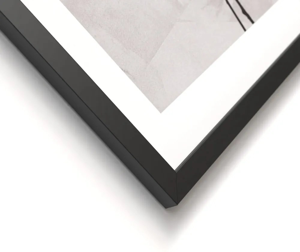 Tablouri 2 buc. 30x40 cm Charm – Styler