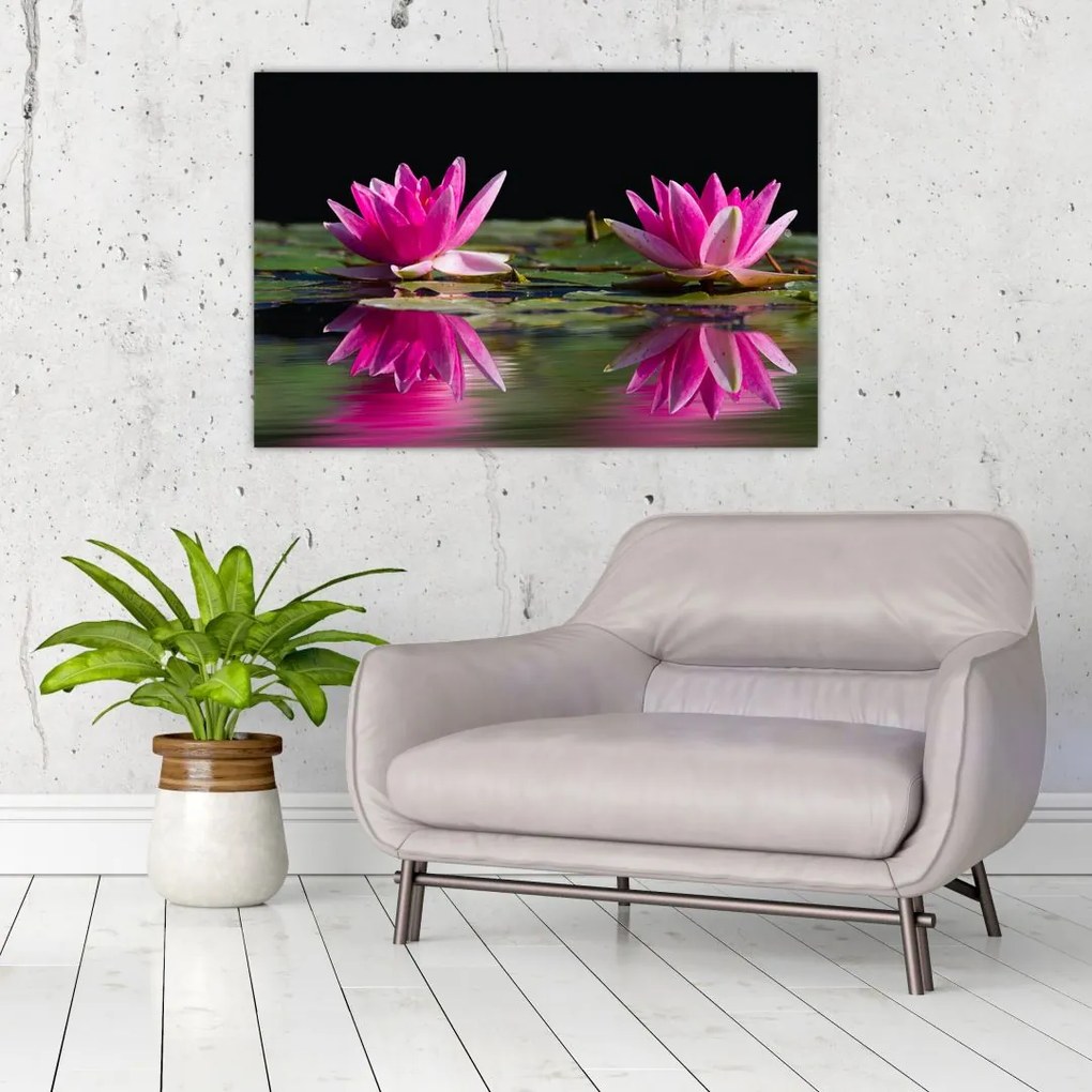 Tablou - Nuferi pe apă (90x60 cm)