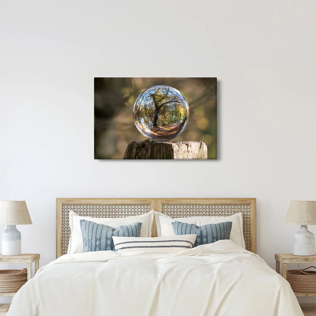 Tablou - Reflecție intr-o sferă transparentă (90x60 cm)