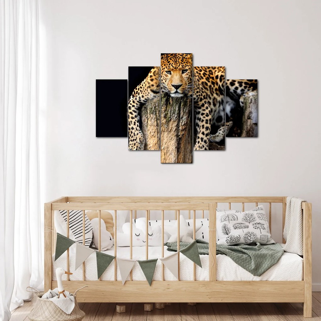 Tablou - Ghepard (150x105 cm)