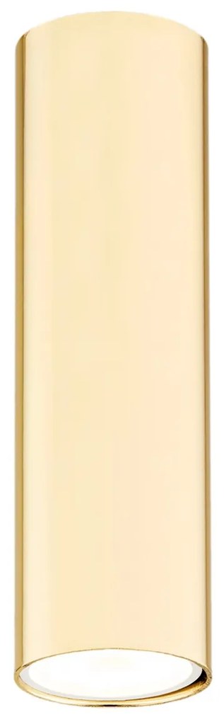 Spot aplicat tavan TYBER PLUS auriu 18cm