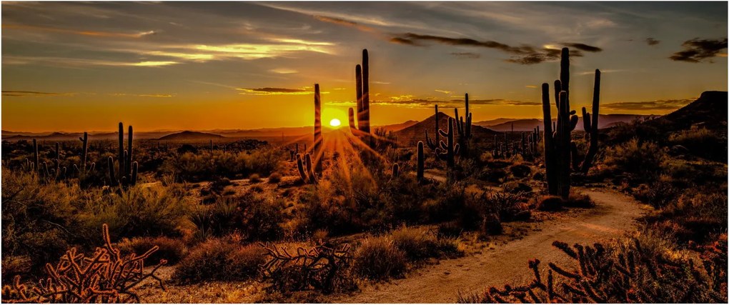 Tablou - Sfărșit de zi în deșertul Arizona (120x50 cm)