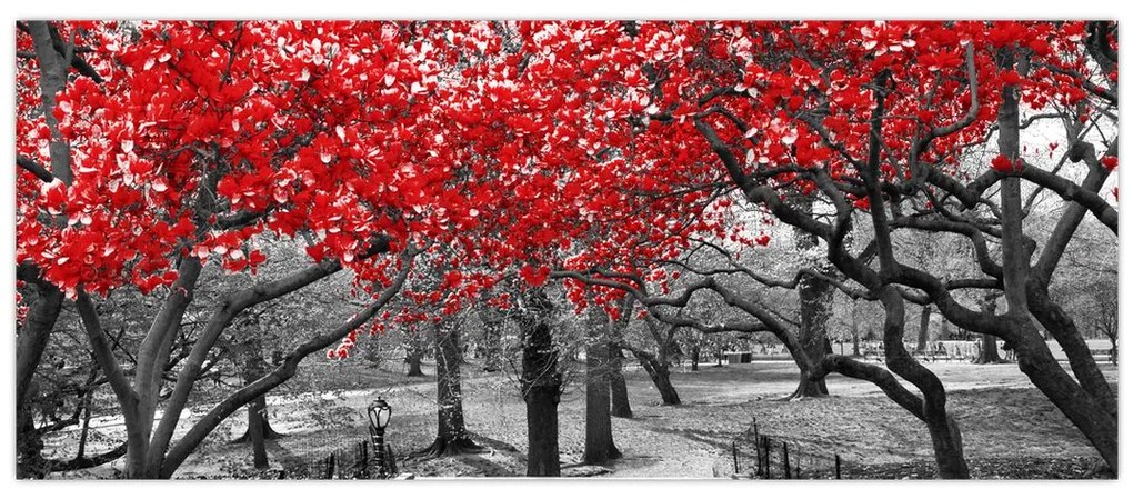 Tablou - Copaci roșii, Central Park, New York (120x50 cm)