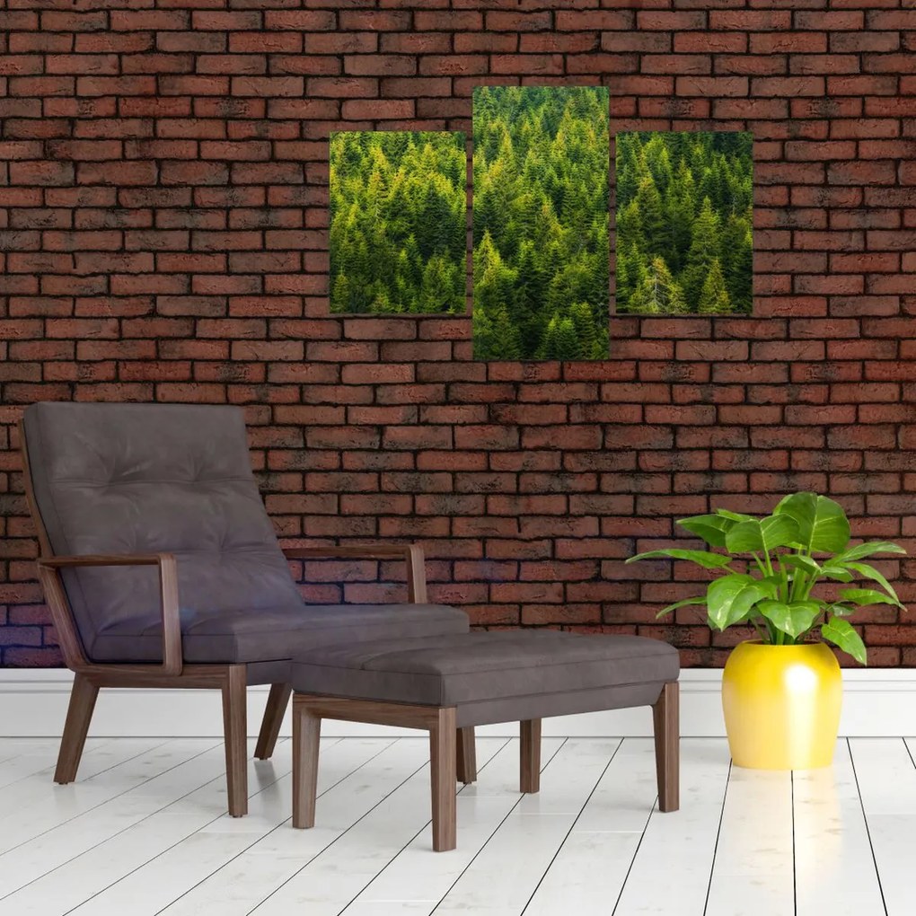 Tablou - Pădure deasă (90x60 cm)