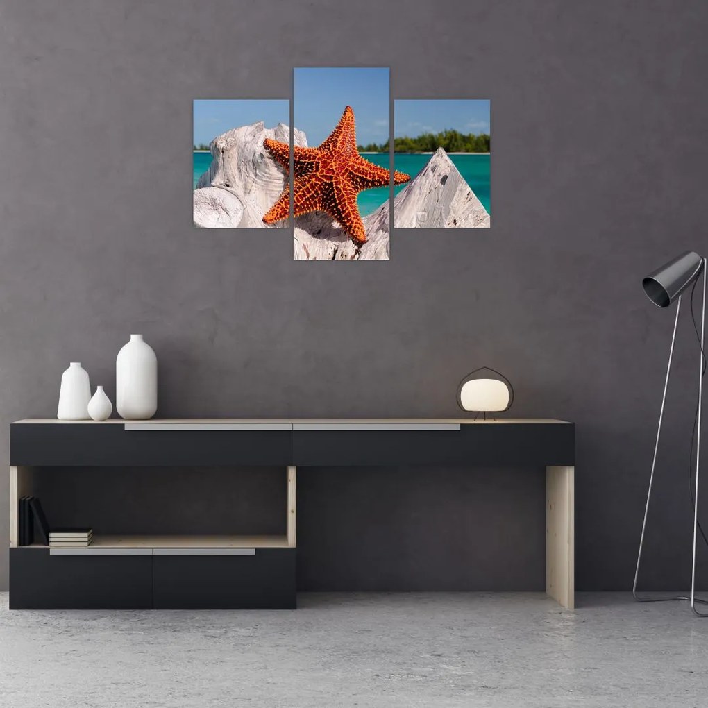Tablou cu stea de mare (90x60 cm)