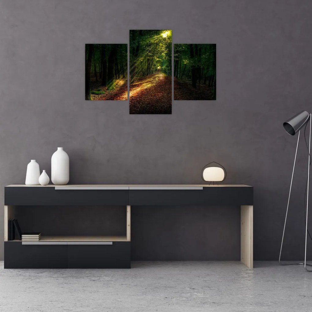 Tablou cu poteca prin pădure (90x60 cm)