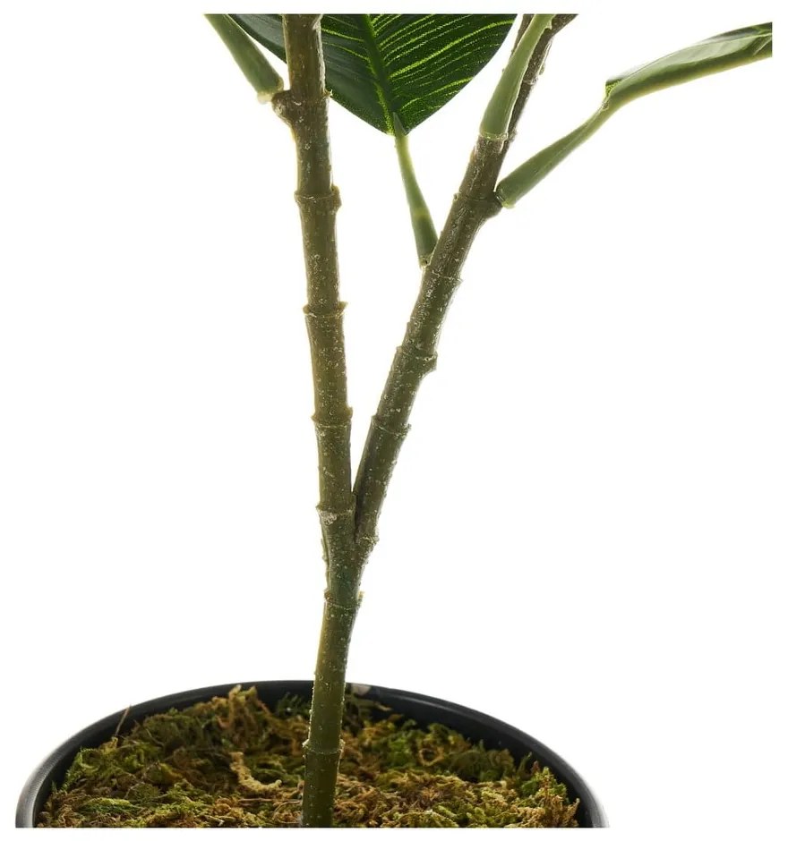 Plantă artificială Ficus – Casa Selección