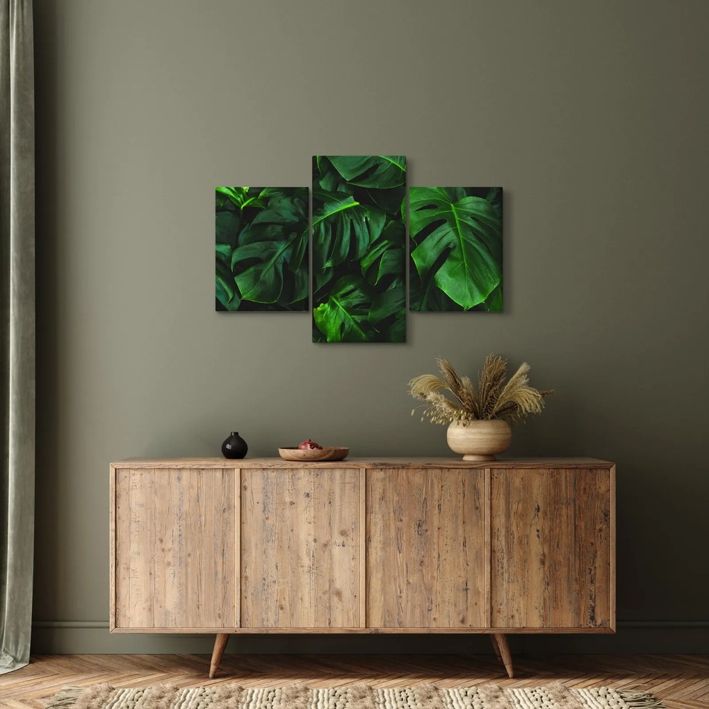 Tablou cu frunze Monstery (90x60 cm)