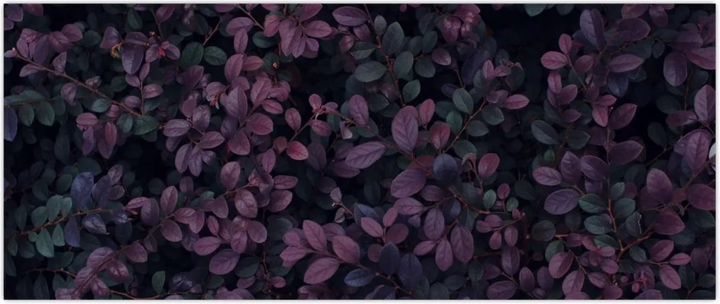 Tabou - Frunze roșu închis (120x50 cm)