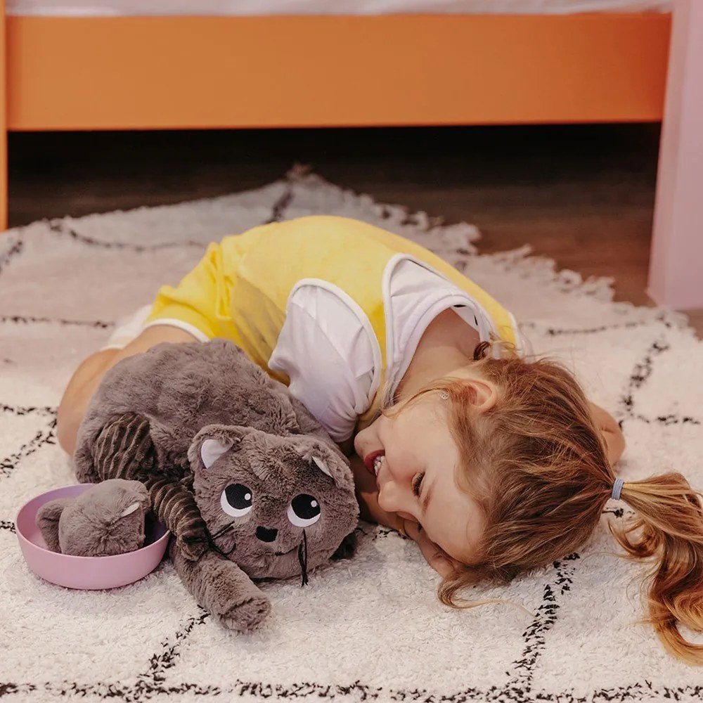 Jucării de pluș 2 buc. Ptipotos Miaou – Les Deglingos