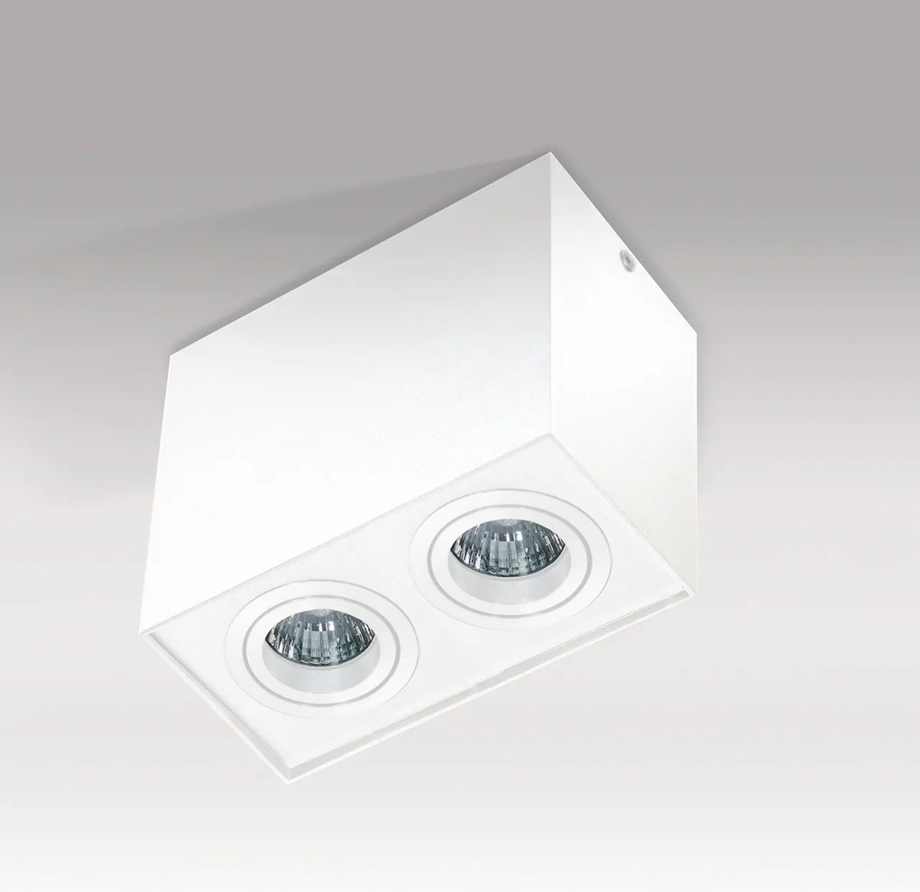 Spot aplicat tavan/plafon stil modern ELOY 2 White