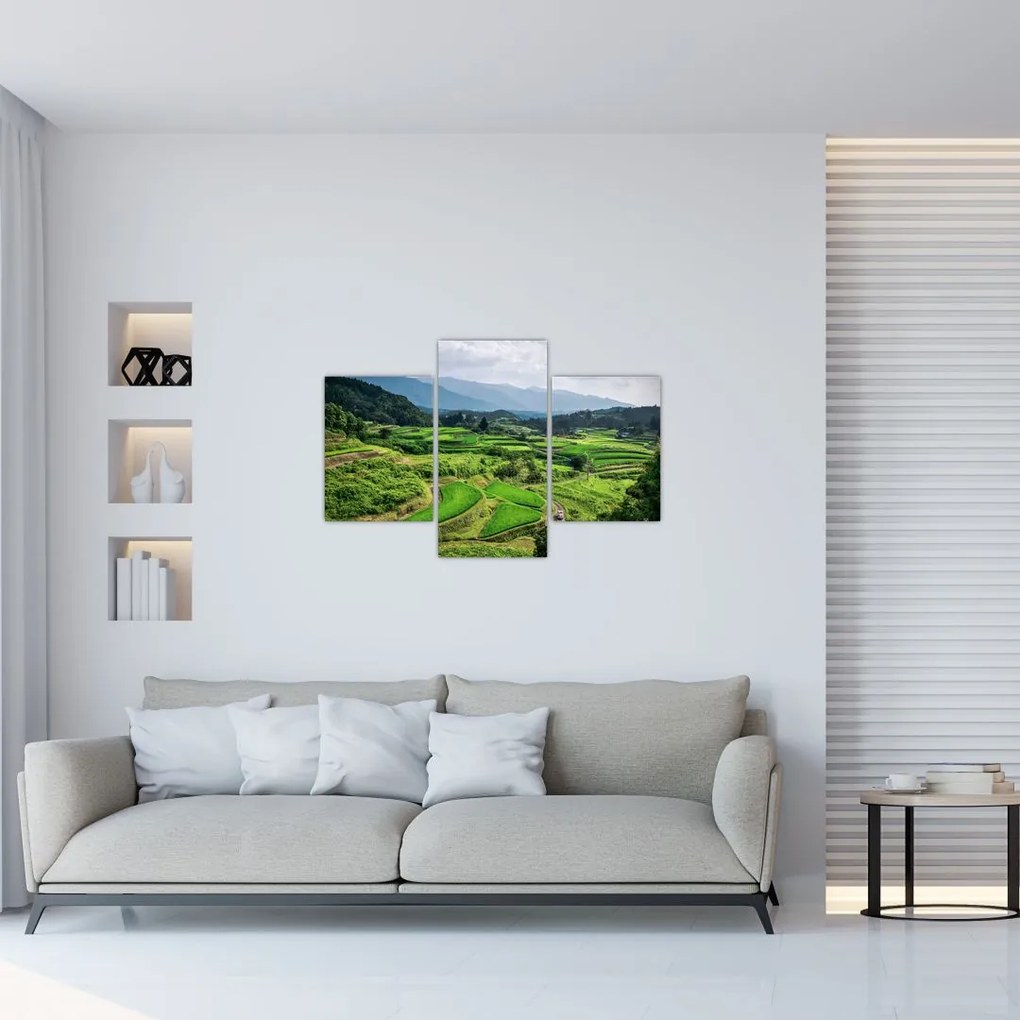 Tablou cu câmp de orez (90x60 cm)