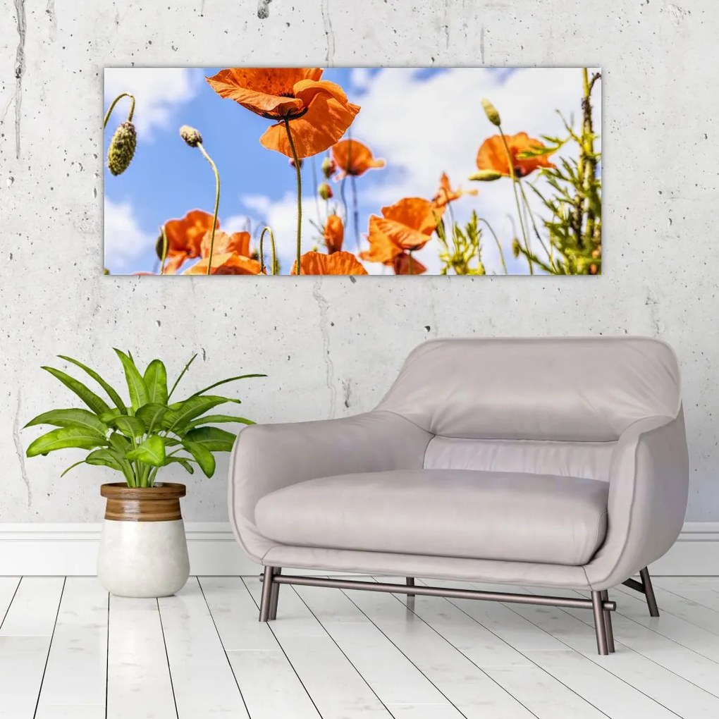 Tablou cu macii (120x50 cm)