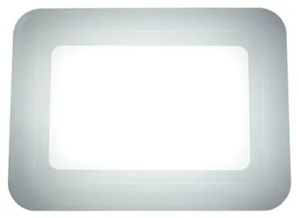 Proiector LED/50W/230V 4000K IP65
