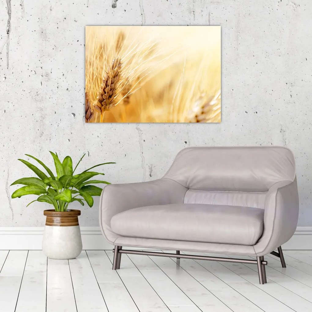 Tablou- detaliu cu (70x50 cm)