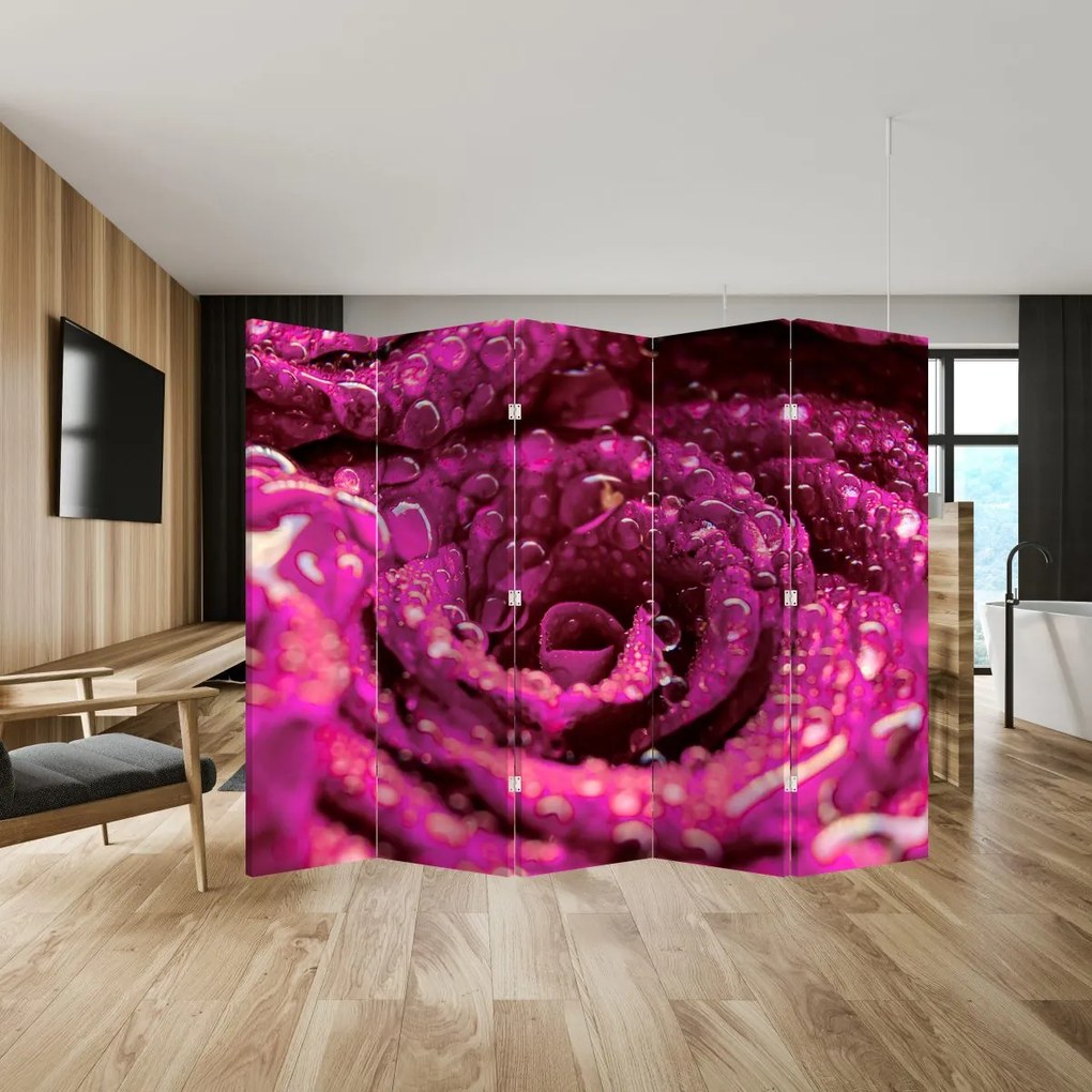 Paravan - Floarea trandafirului roz (210x170 cm)