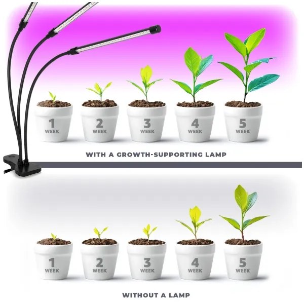 Lampă LED dimabilă cu clemă pentru creșterea plantelor Brilagi VITABLOOM 3xLED/10W/230V