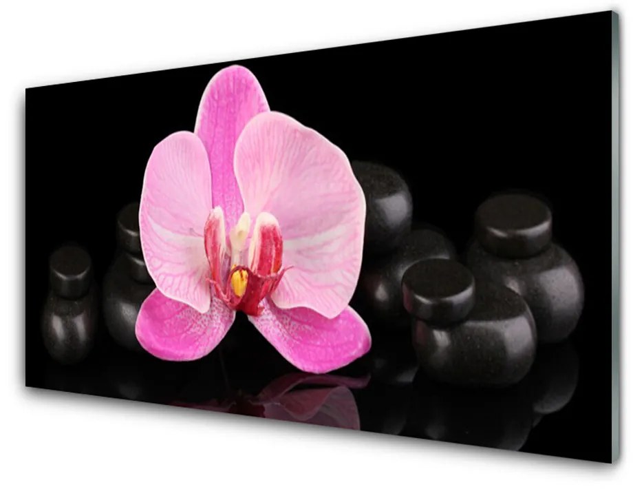 Tablou pe sticla acrilica Pietrele florale flori roz negru
