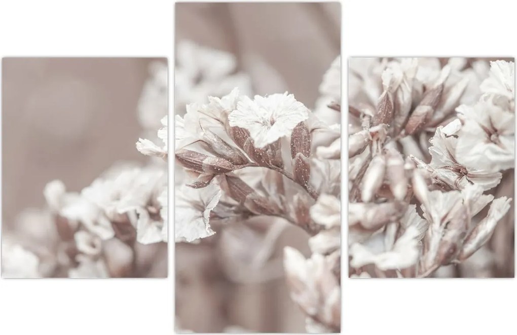 Tablou - Detaliu crenguță (90x60 cm)