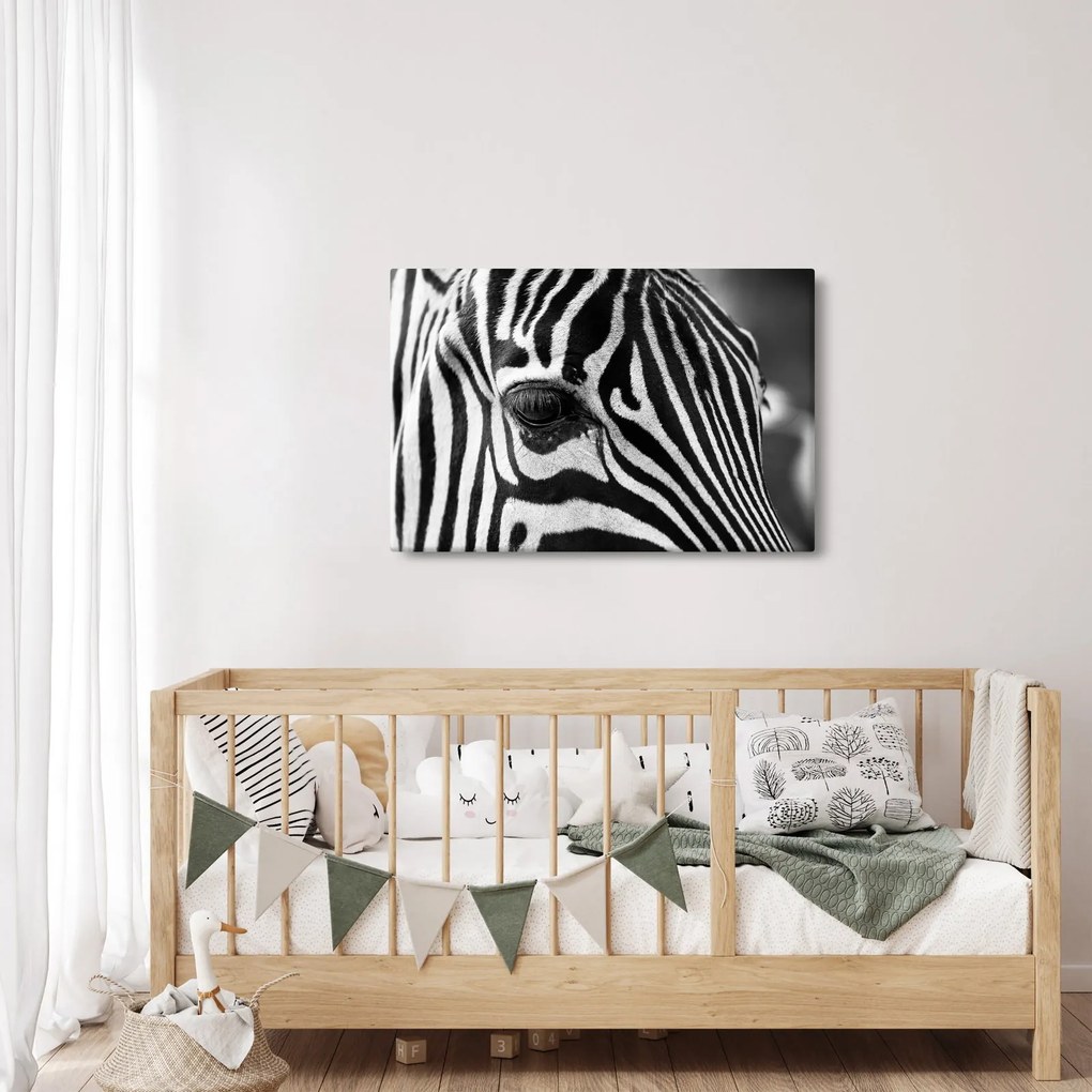 Tablou cu zebră (90x60 cm)