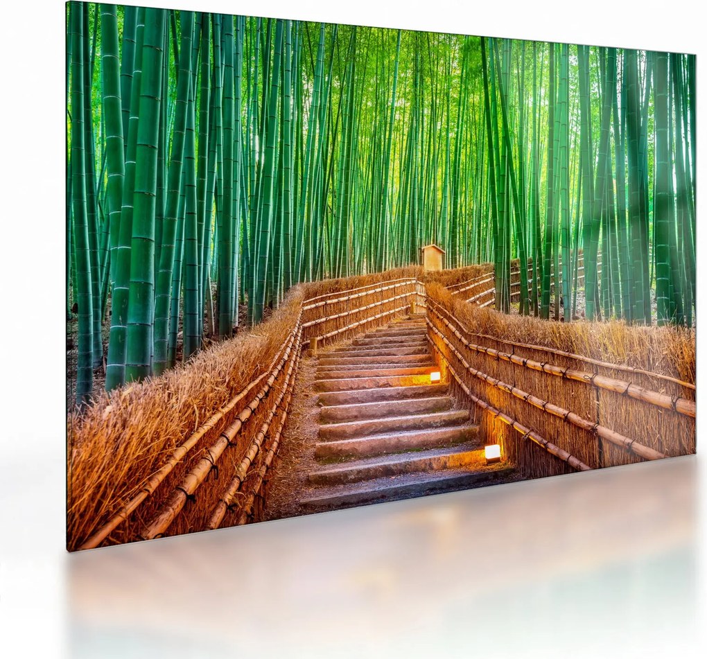 Tablou pe sticlă - Pădure de bambus japoneză (70x50 cm)