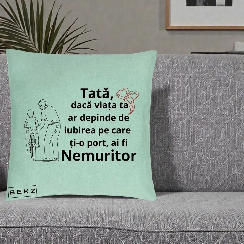 Cadou pentru Tata - Perna Personalizata Tata Nemuritor Bicicleta, 40x40 cm, Verde Menta, Husa Detasabila, Perna Inclusa, BEKZ®